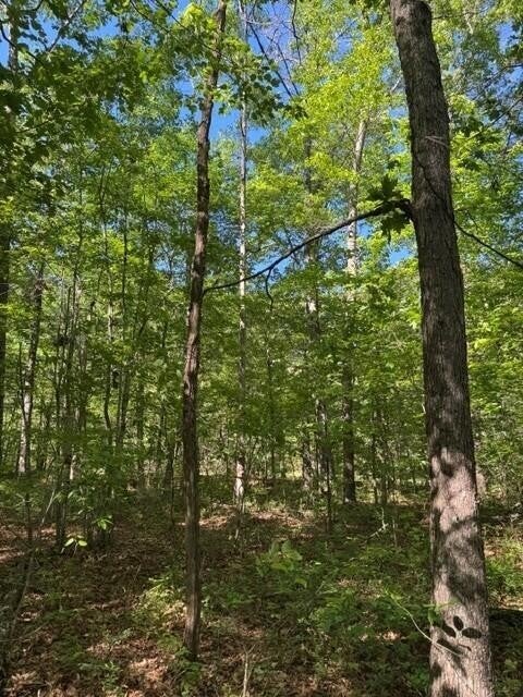 Photo of Listing #2890096