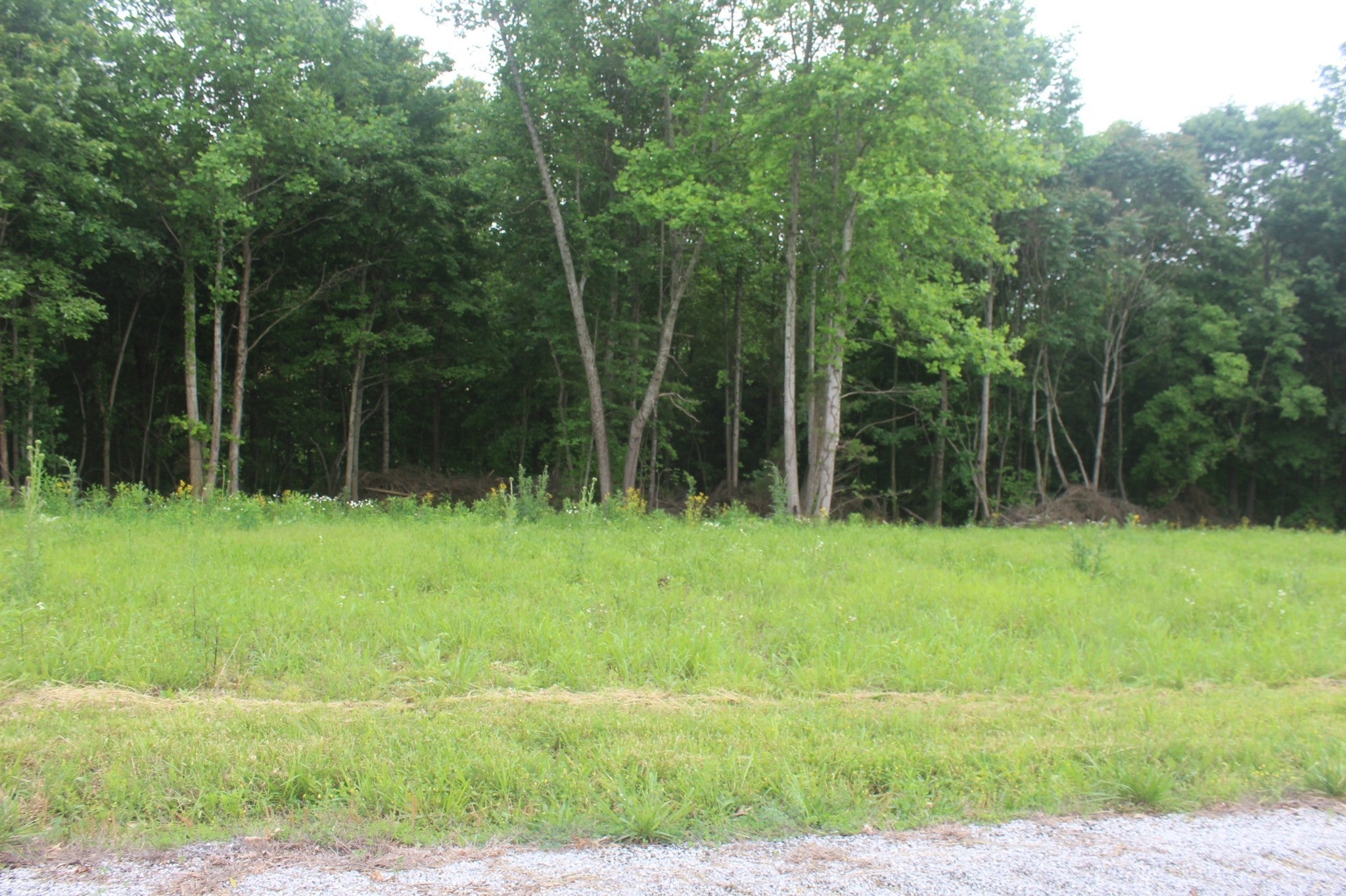 Photo of Listing #2890161