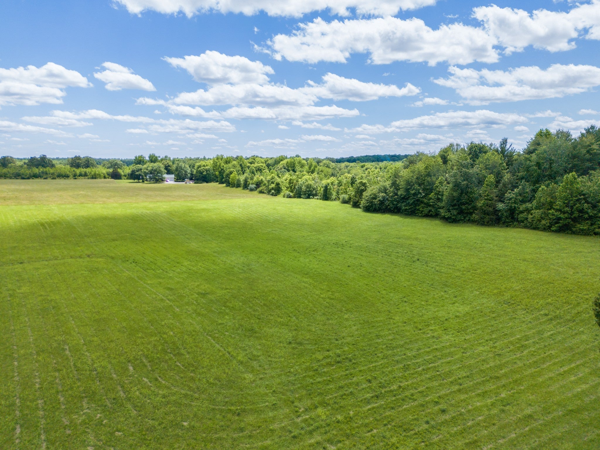 Photo of Listing #2890196