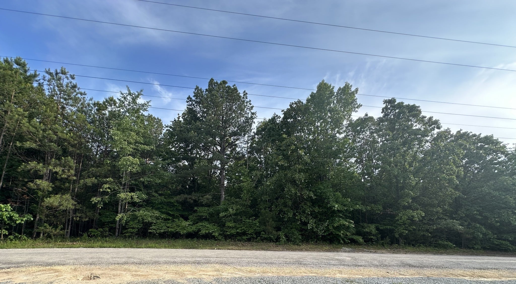 Photo of Listing #2890359