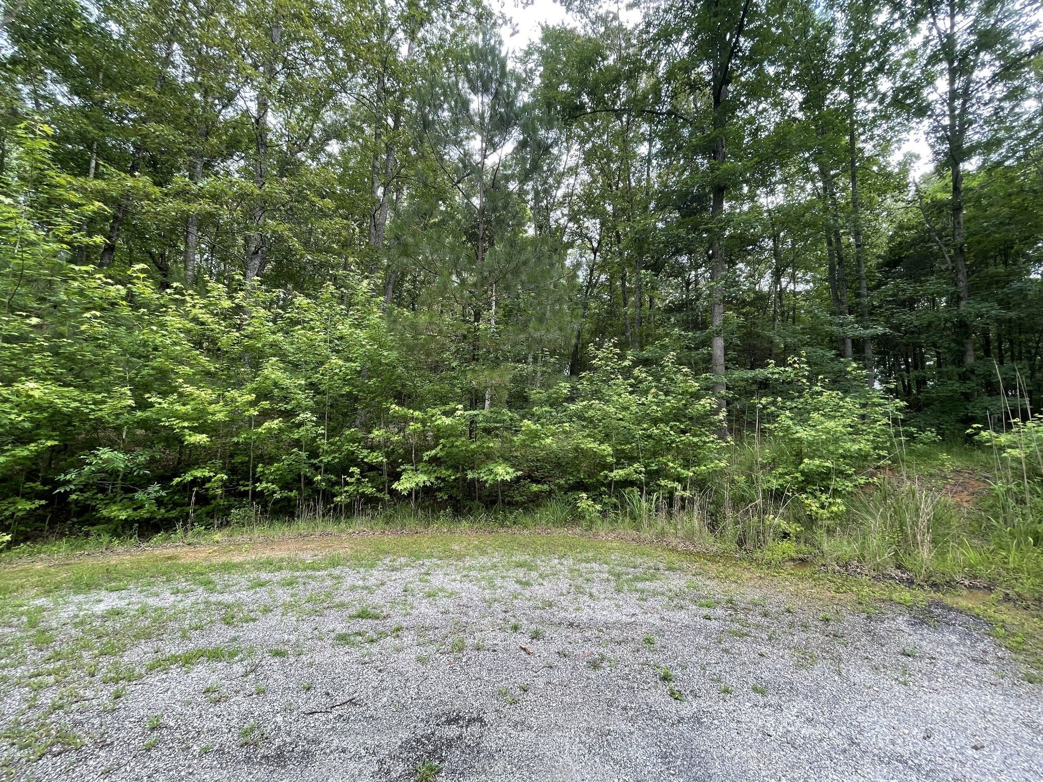 Photo of Listing #2890412