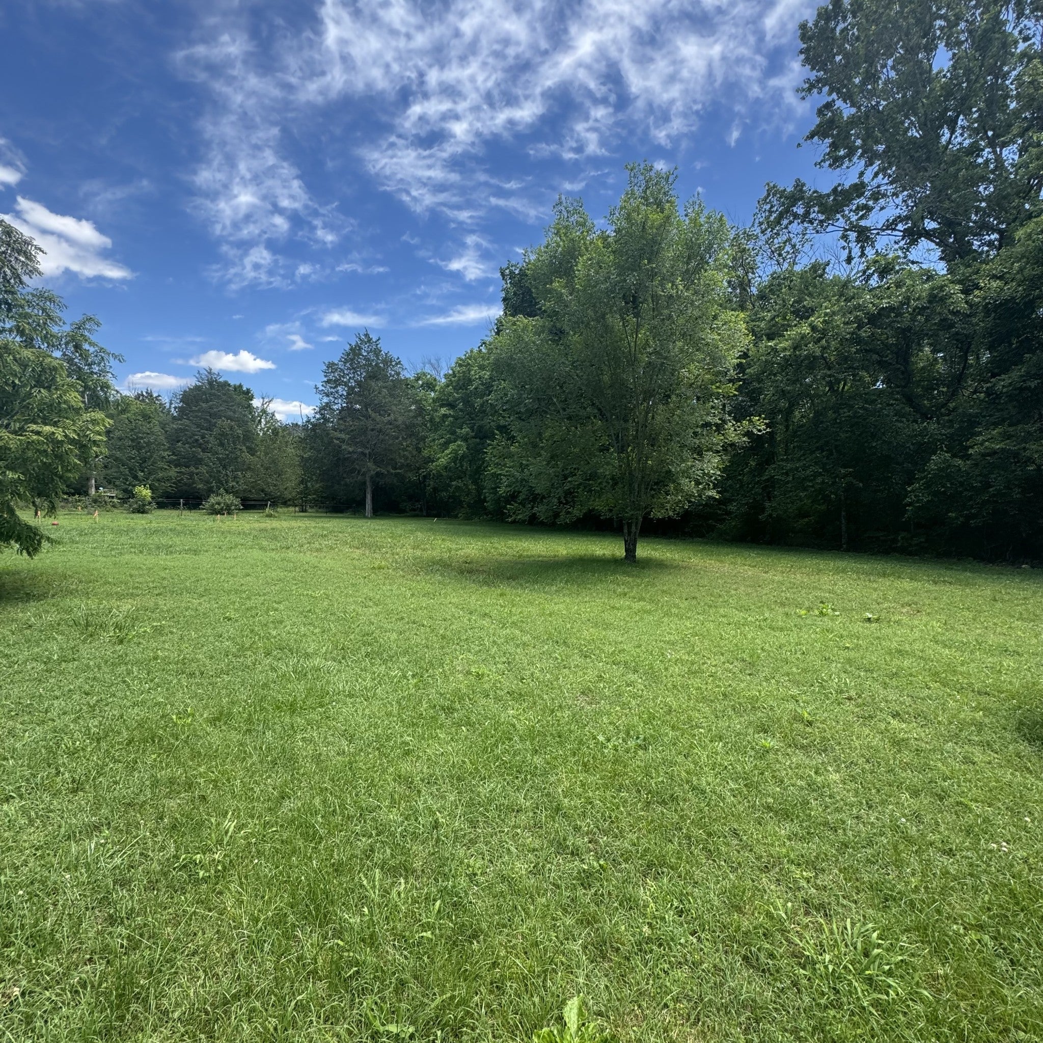Photo of Listing #2890601