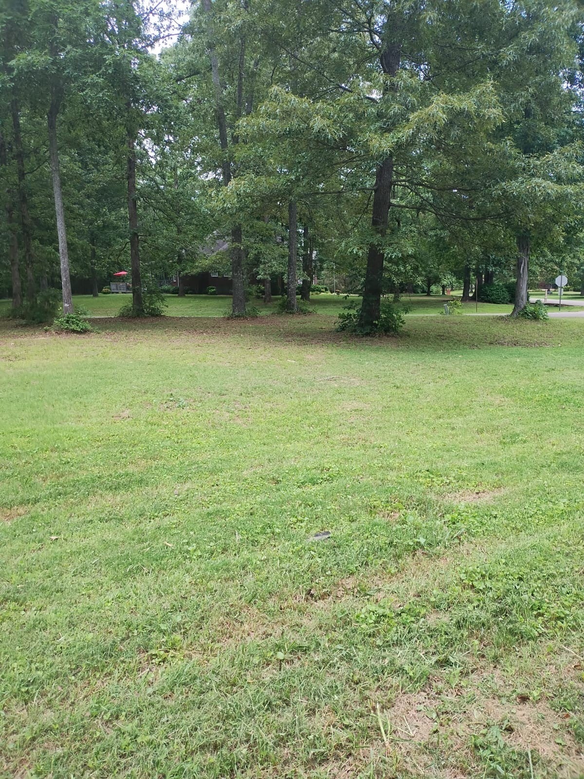 Photo of Listing #2890976