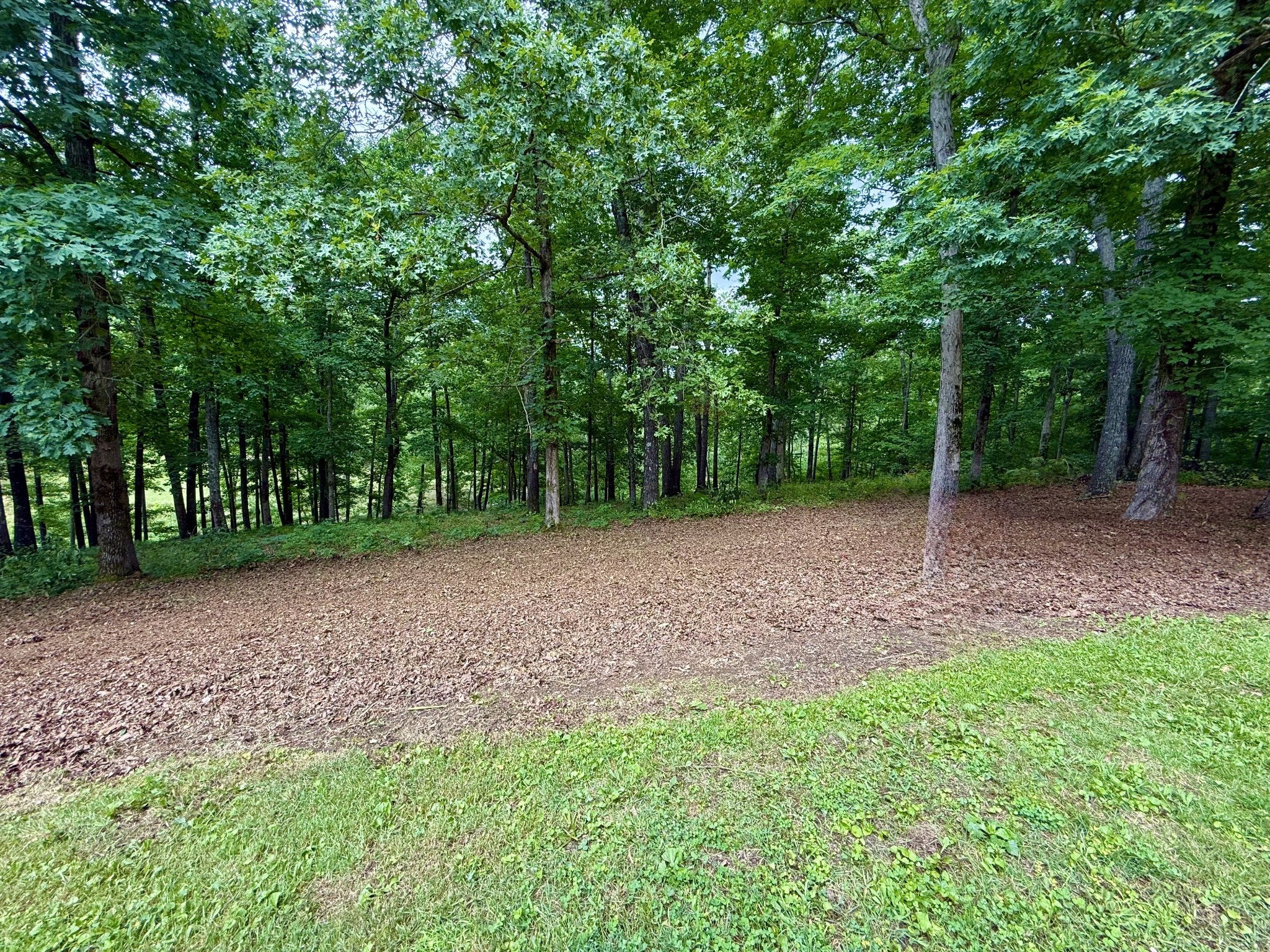 Photo of Listing #2891039