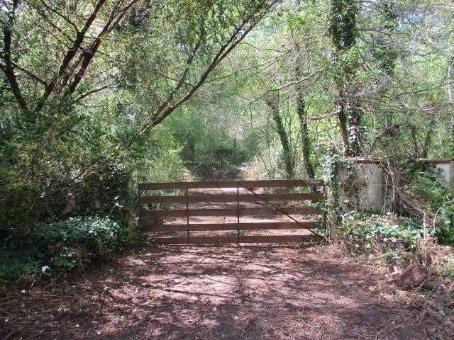 Photo of Listing #2891146