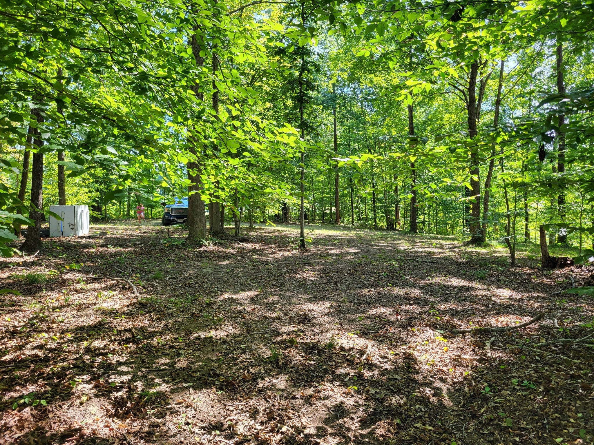 Photo of Listing #2897045
