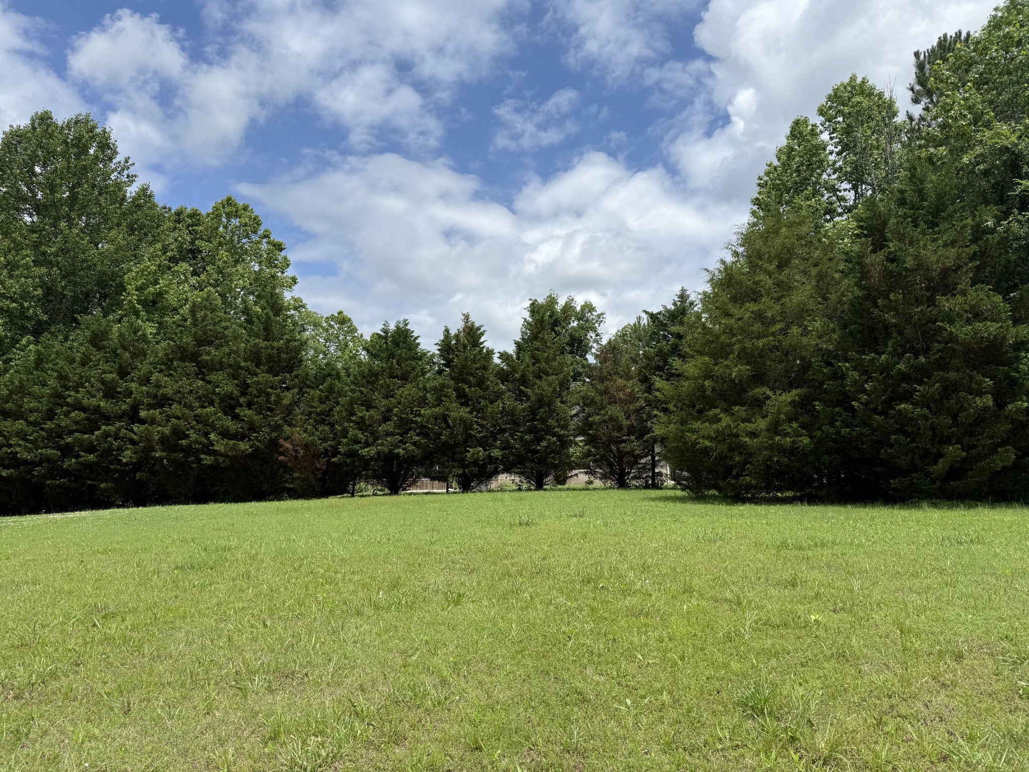 Photo of Listing #2897137