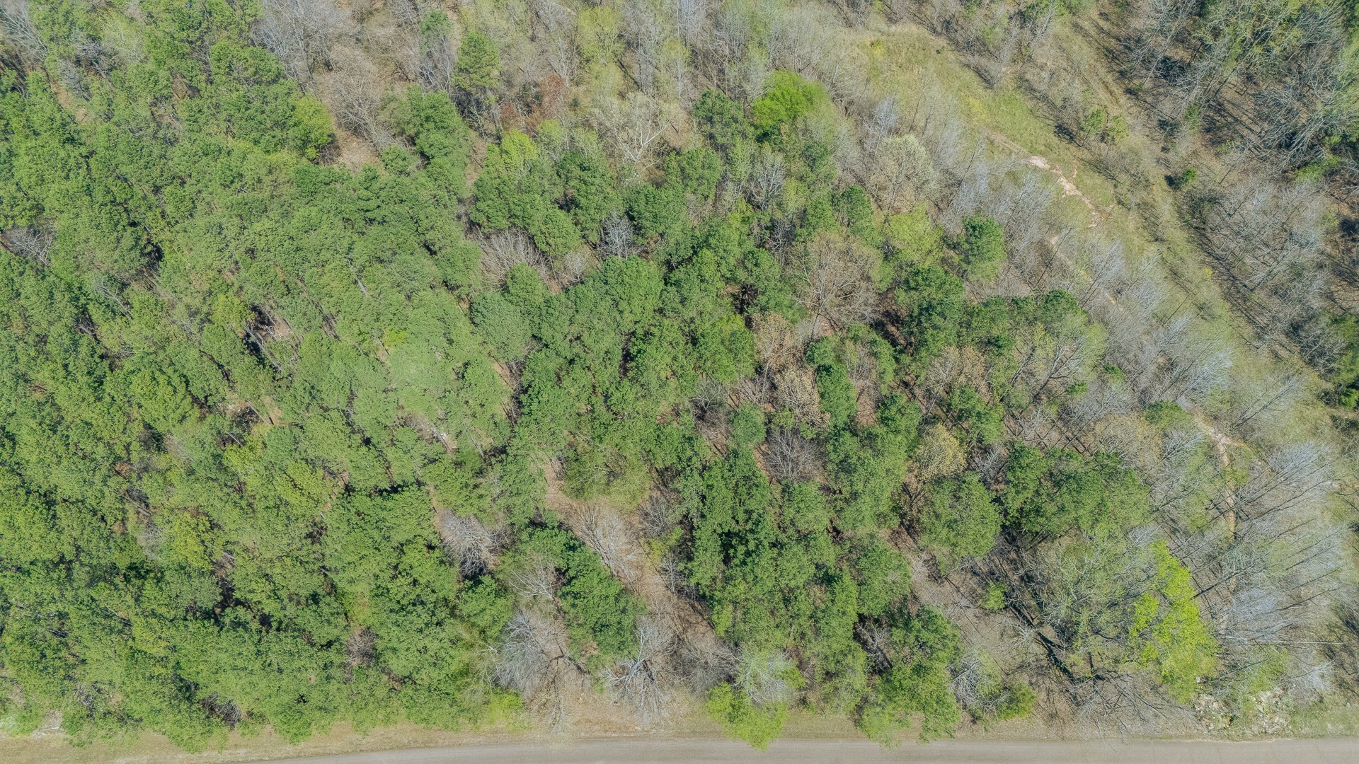 Photo of Listing #2897714