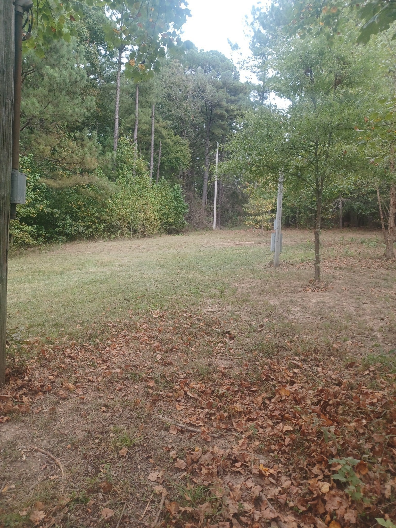 Photo of Listing #2898054