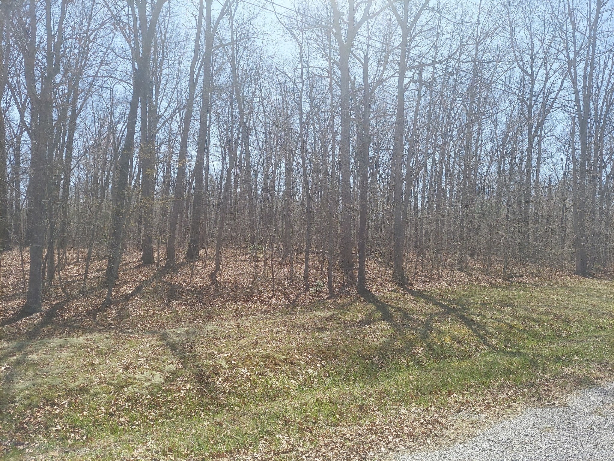 Photo of Listing #2898606