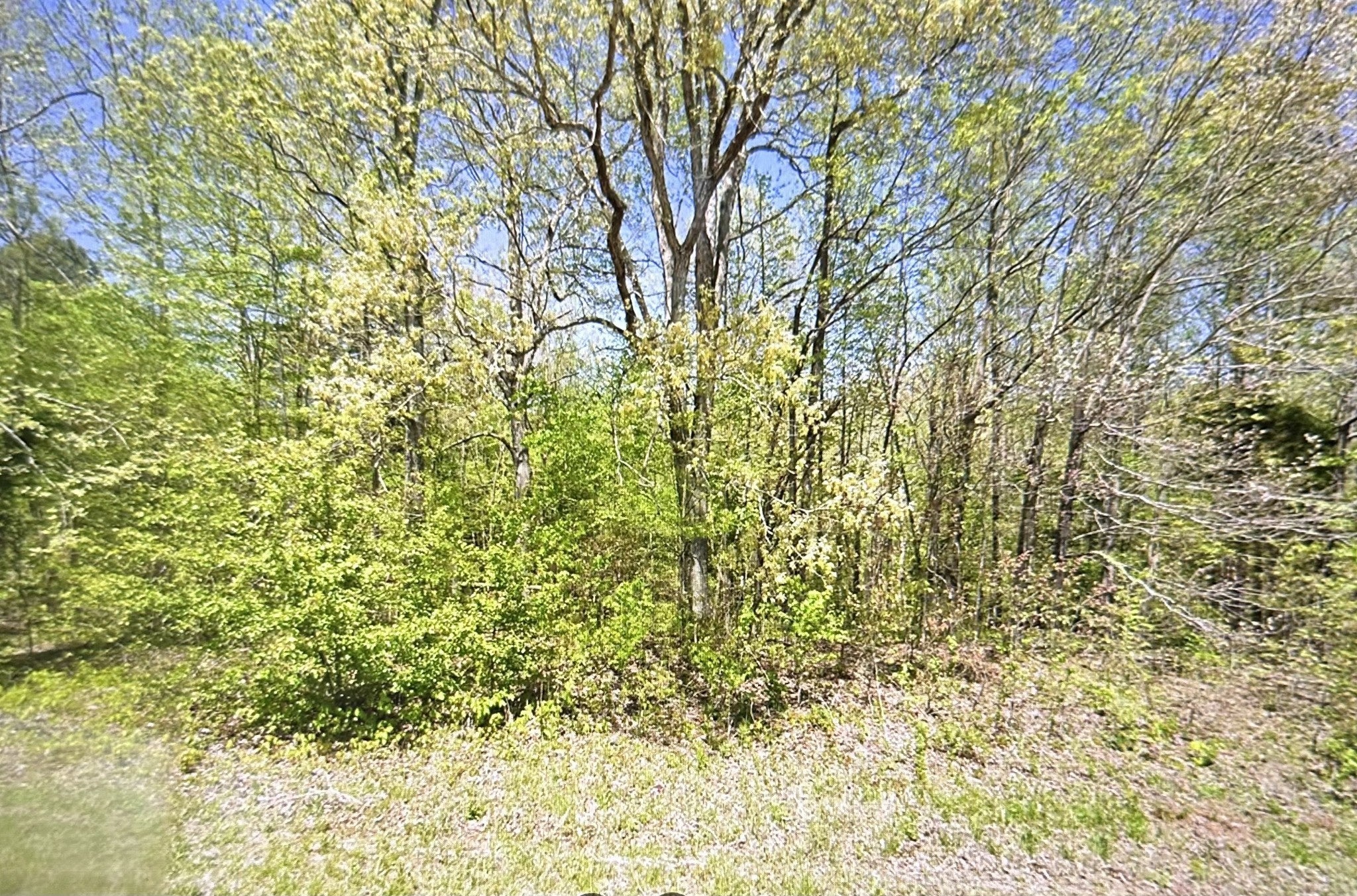 Photo of Listing #2899805