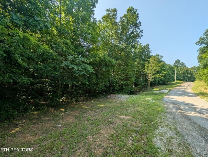 Photo of Listing #2900663
