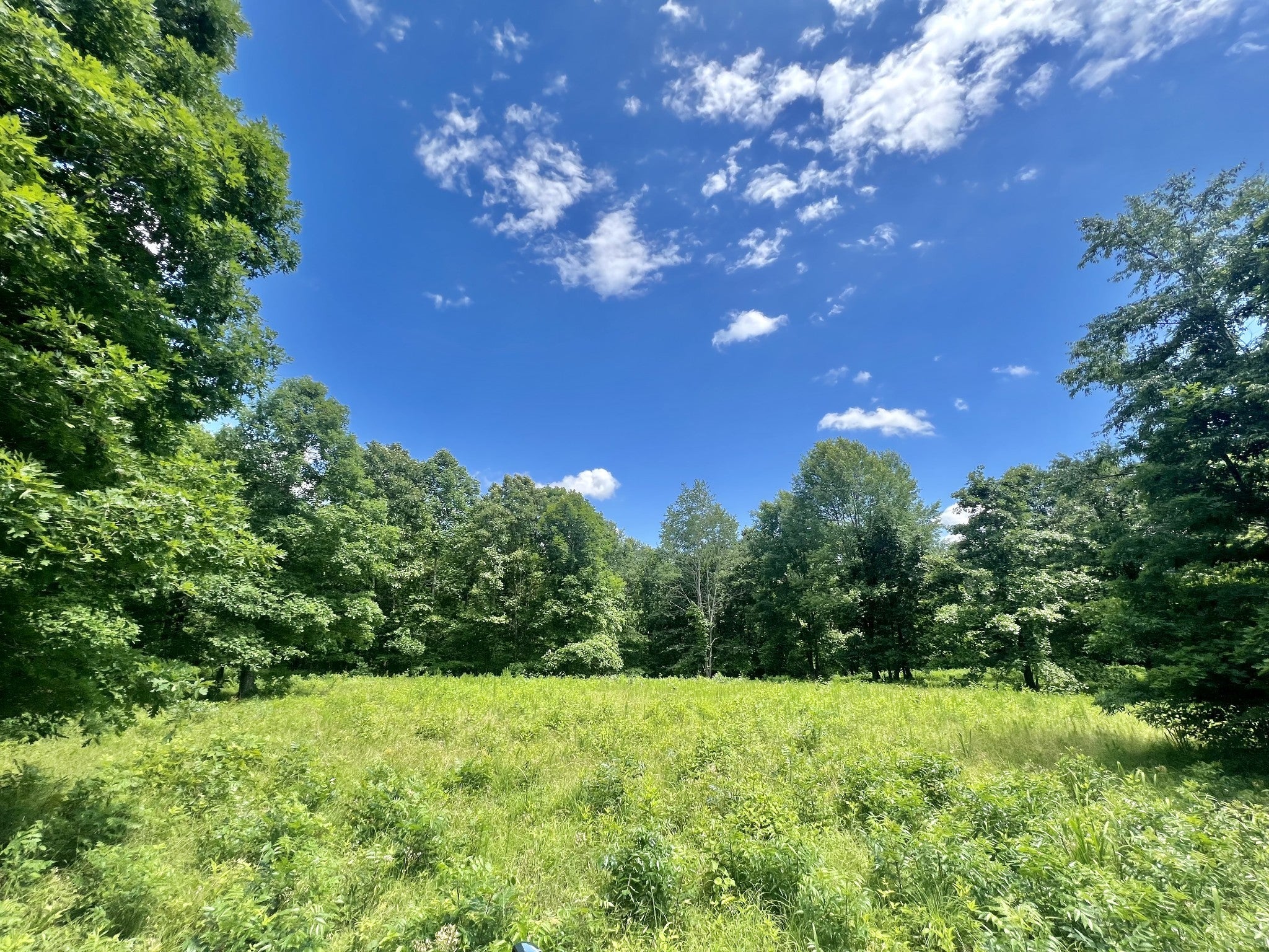 Photo of Listing #2900878