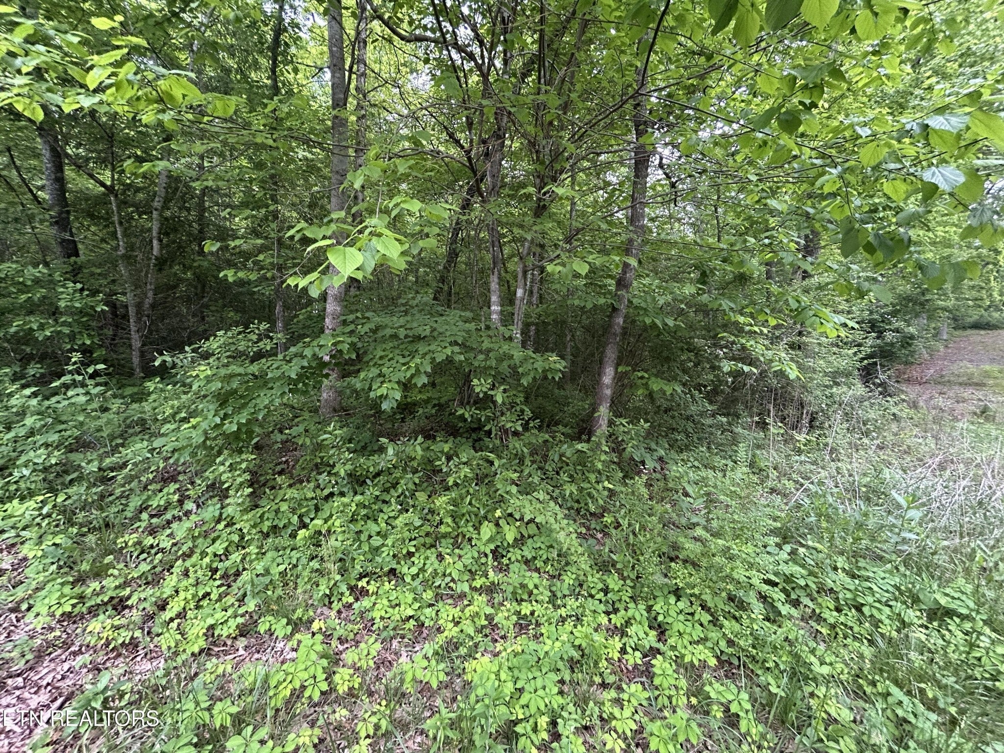 Photo of Listing #2900927