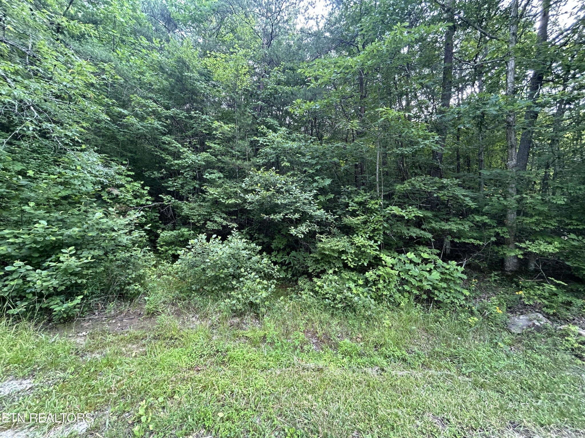 Photo of Listing #2900942