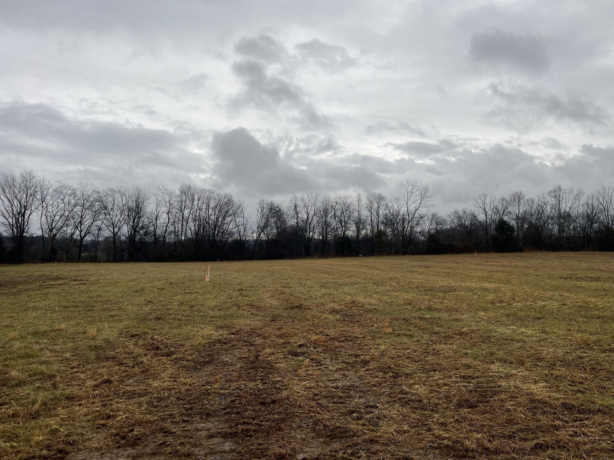 Photo of Listing #2901541