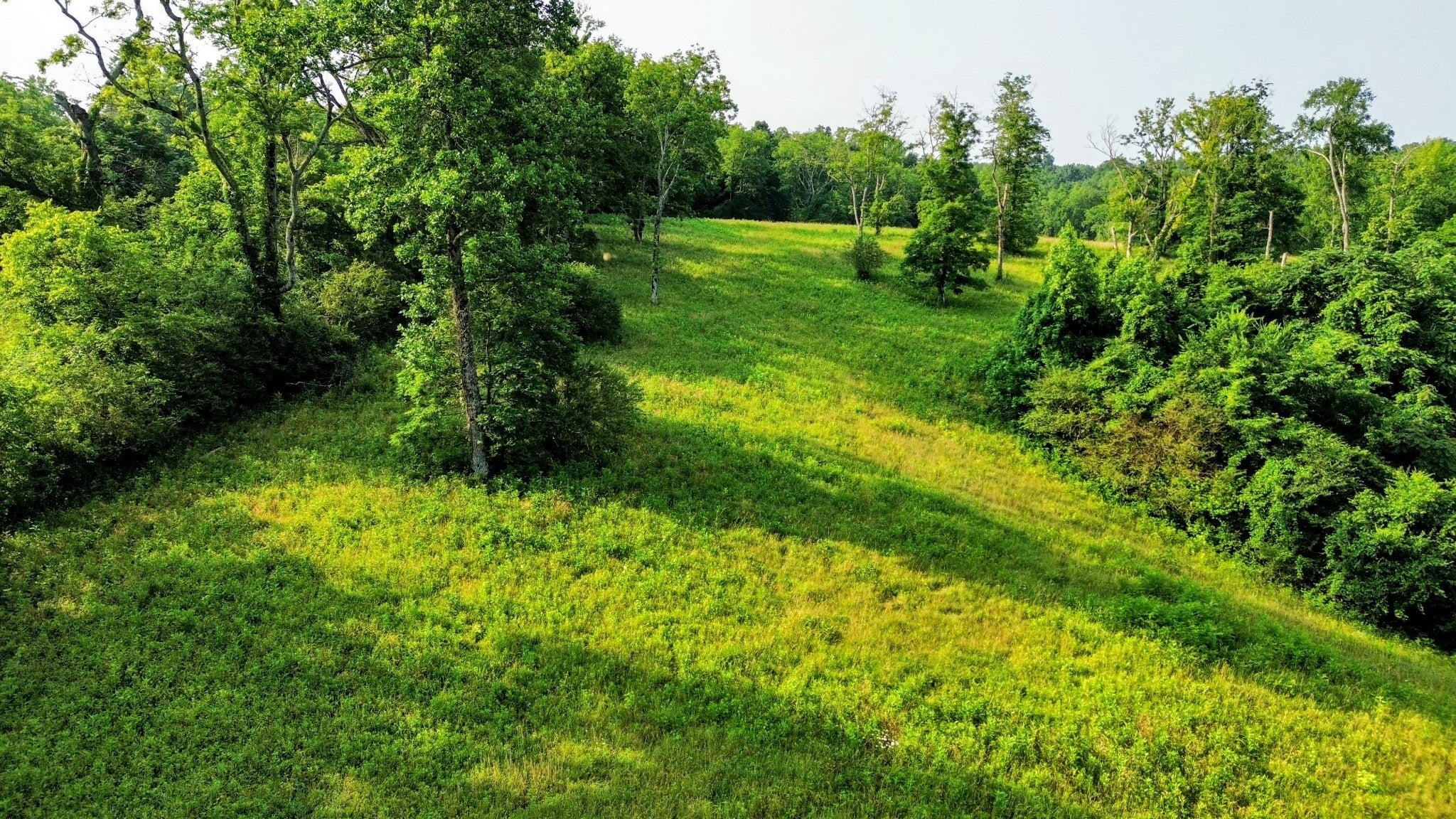 Photo of Listing #2901595