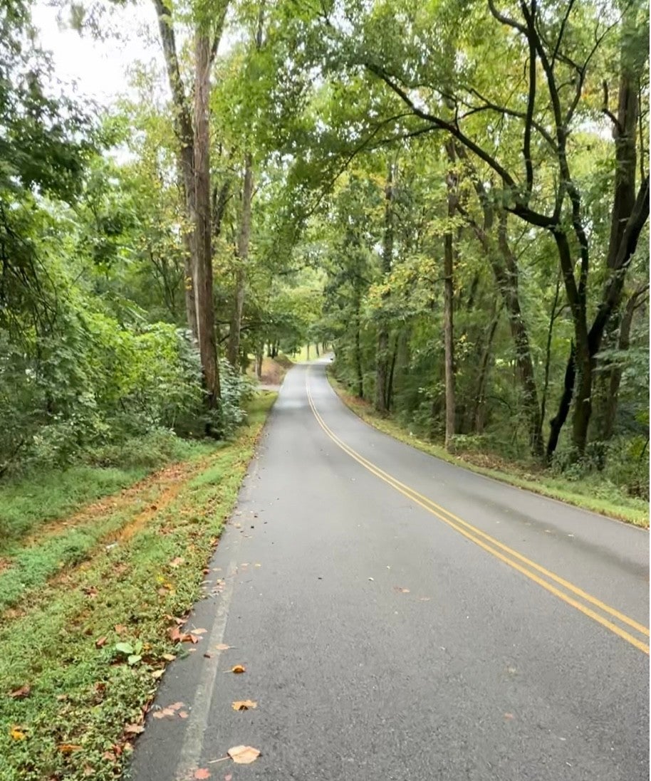 Photo of Listing #2901986