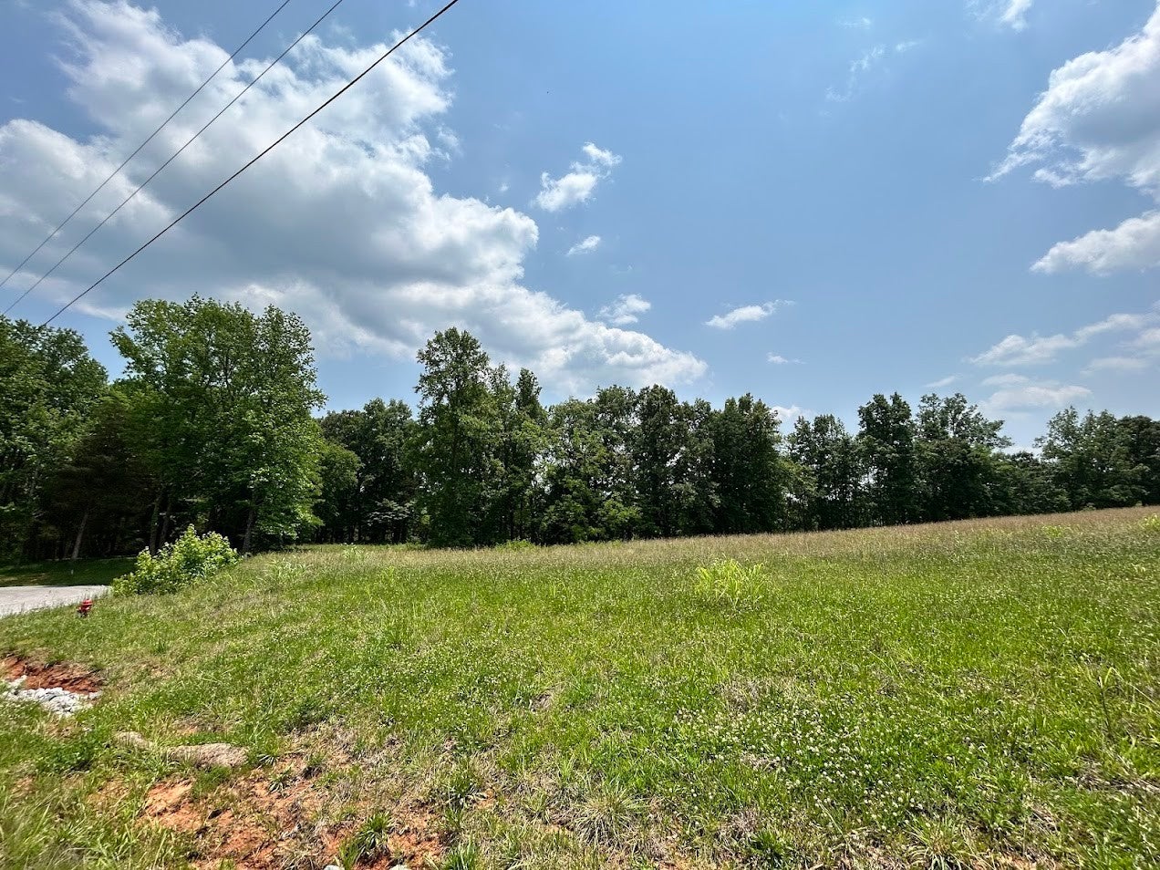 Photo of Listing #2904354