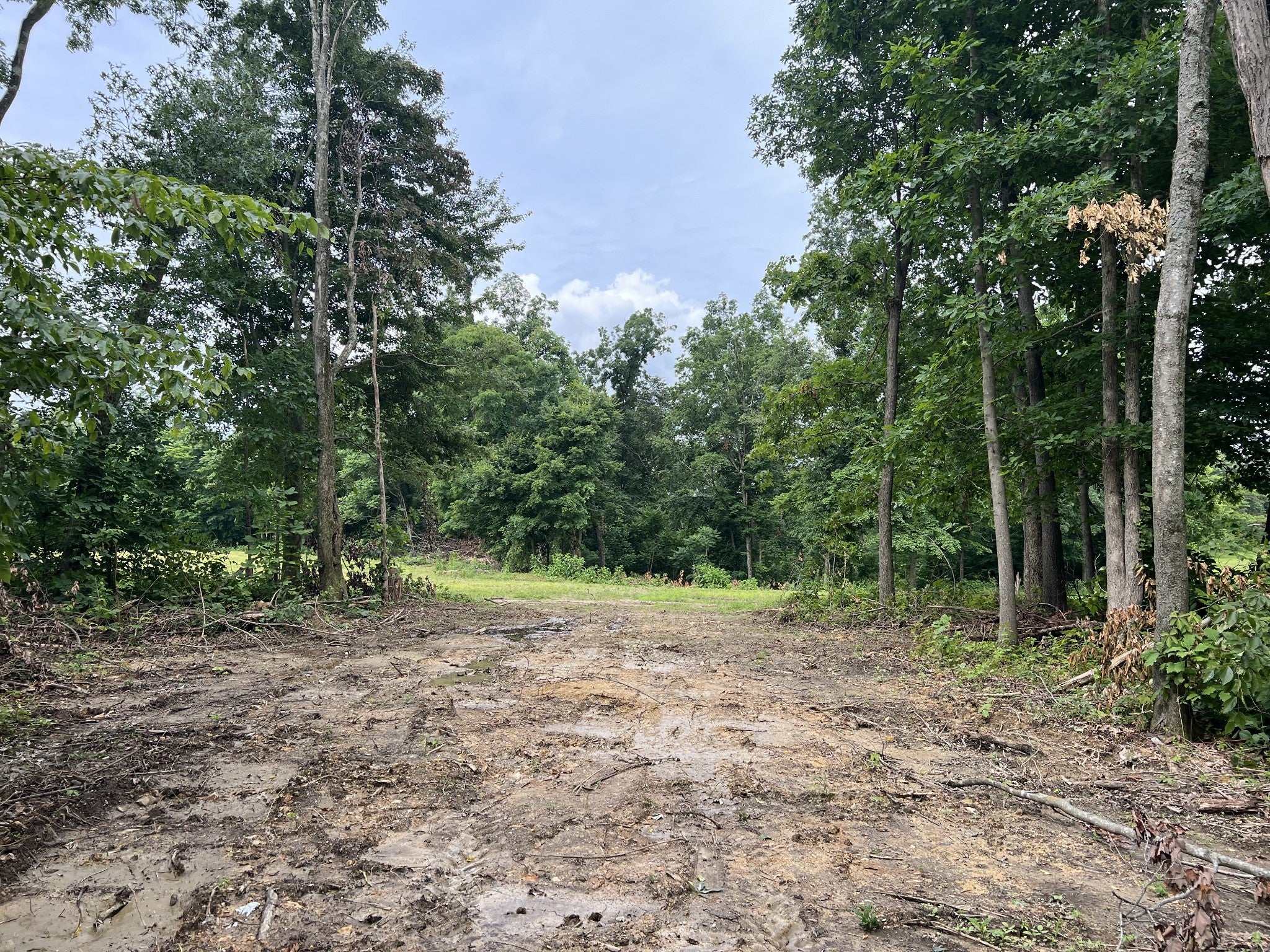 Photo of Listing #2905294