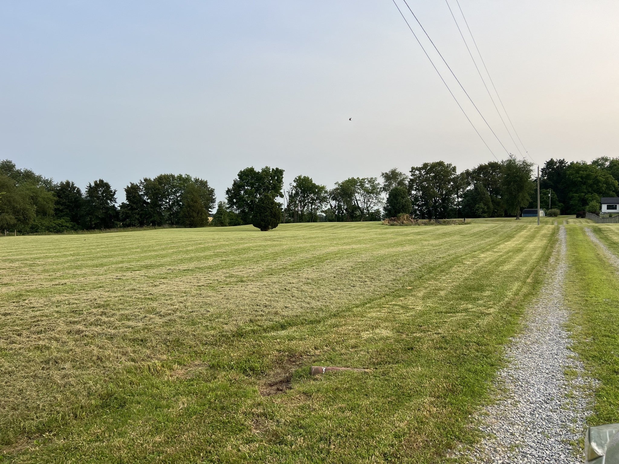 Photo of Listing #2905316