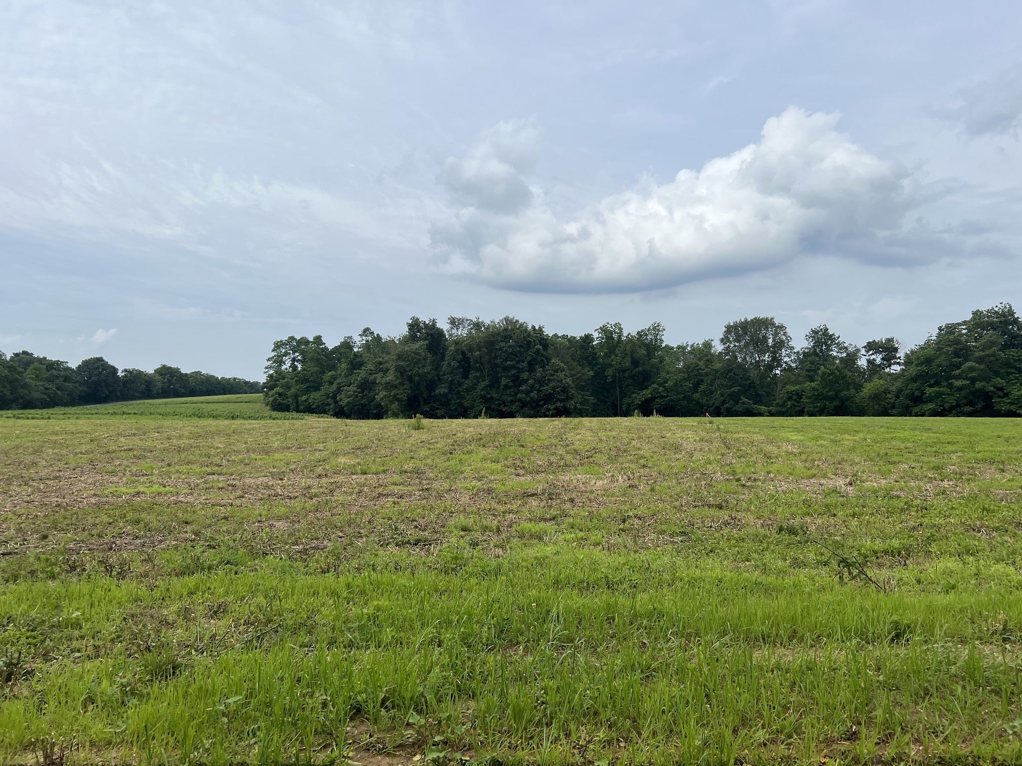Photo of Listing #2905317