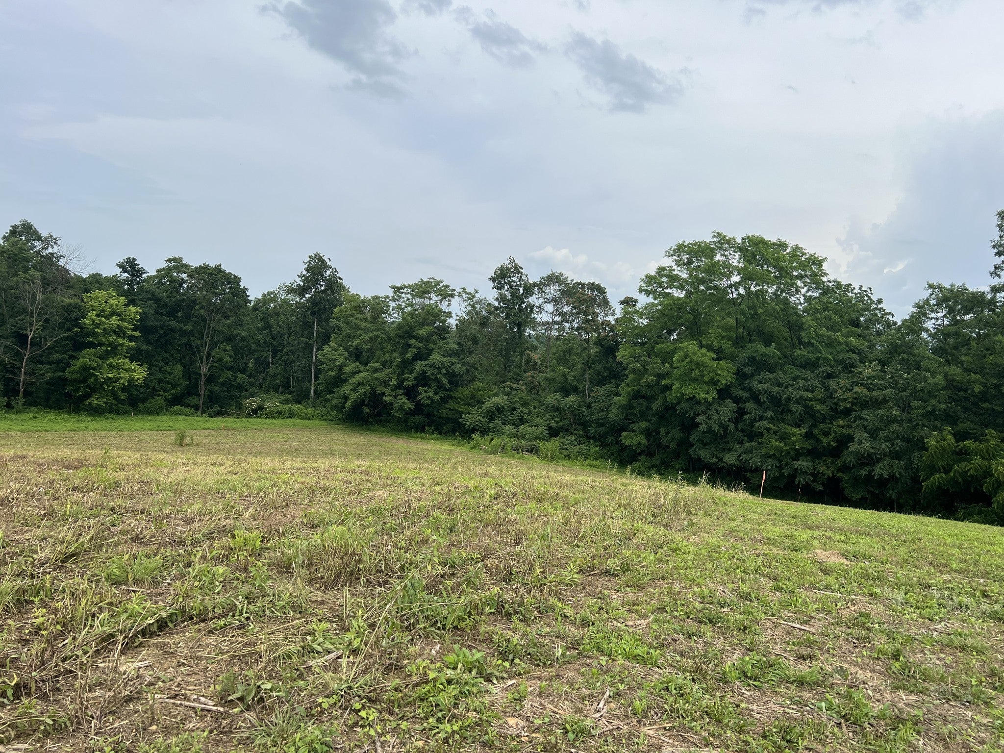 Photo of Listing #2905328