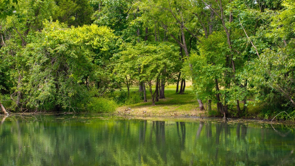 0 Collier Ln, Gallatin