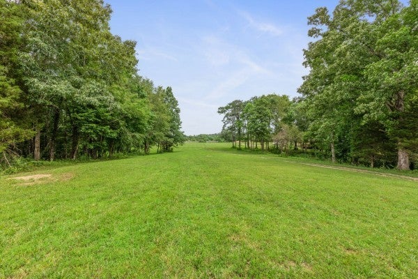 Photo of Listing #2905480
