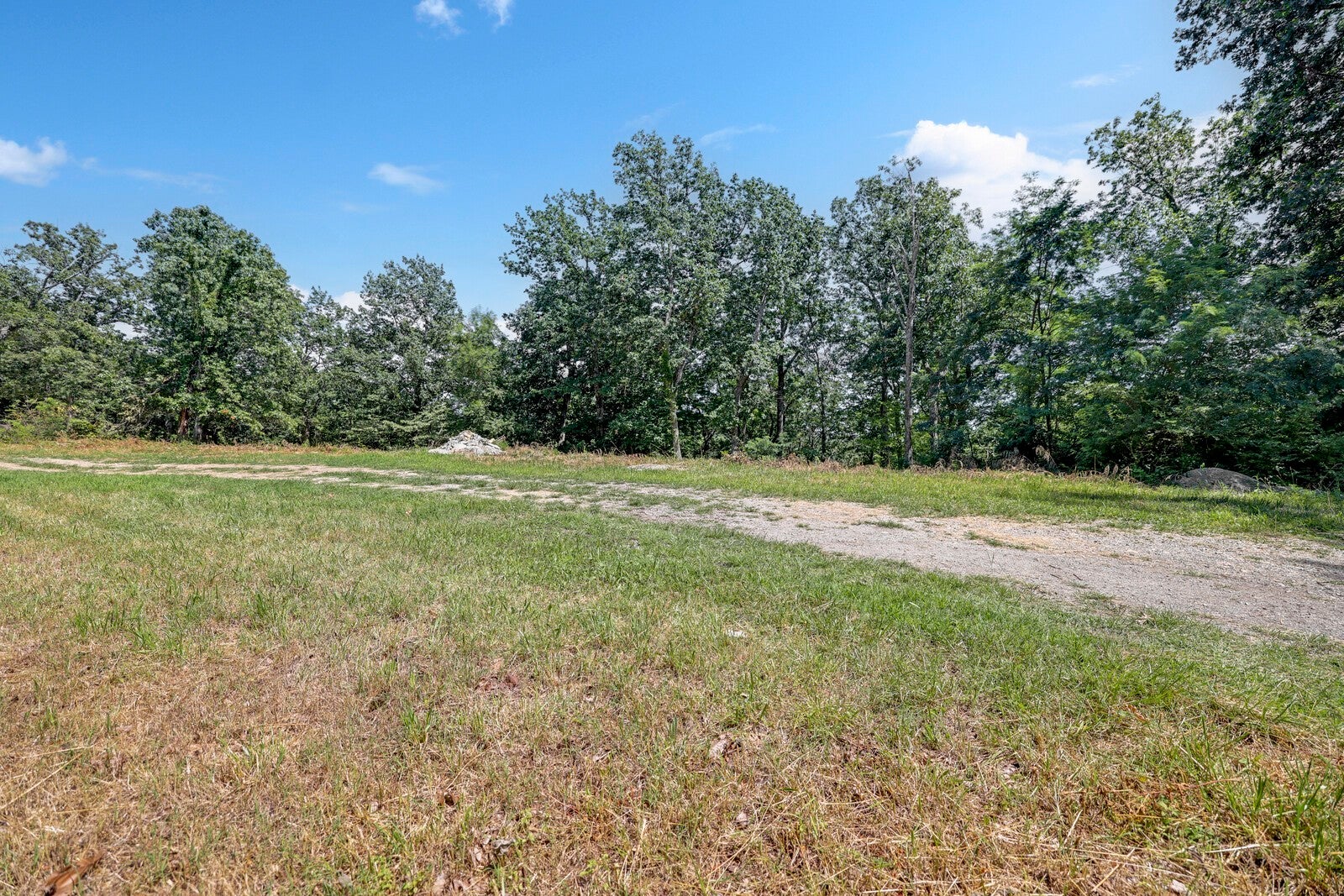 Photo of Listing #2905667