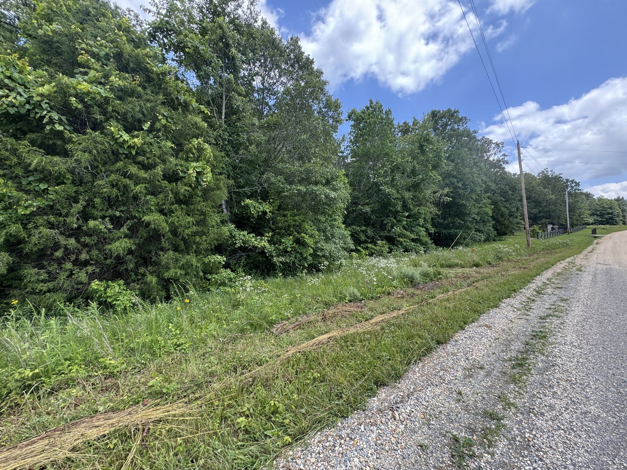 Photo of Listing #2905802