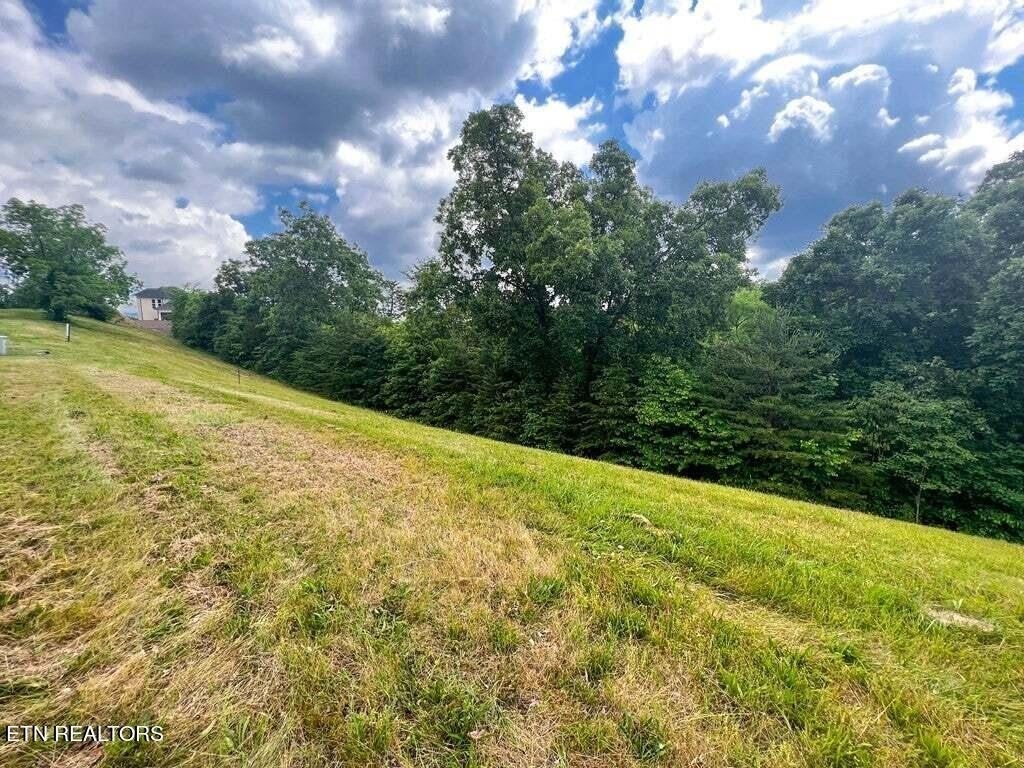 Photo of Listing #2906076