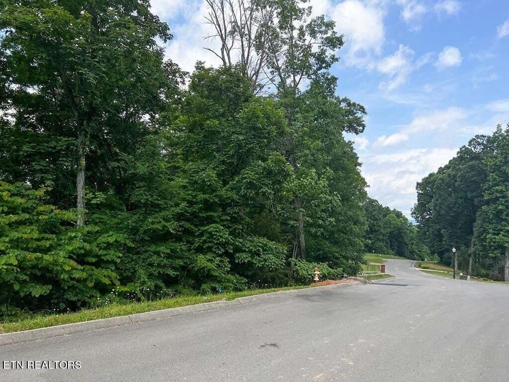 Photo of Listing #2906082