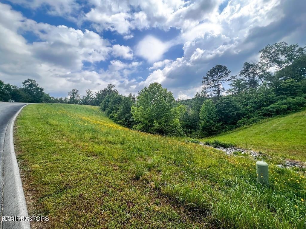 Photo of Listing #2906084