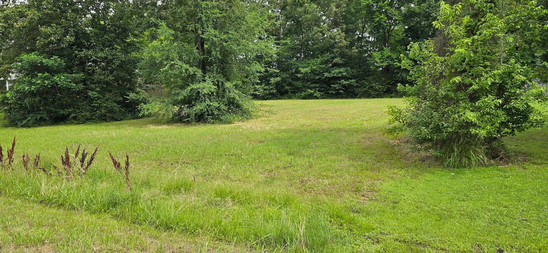 Photo of Listing #2906220