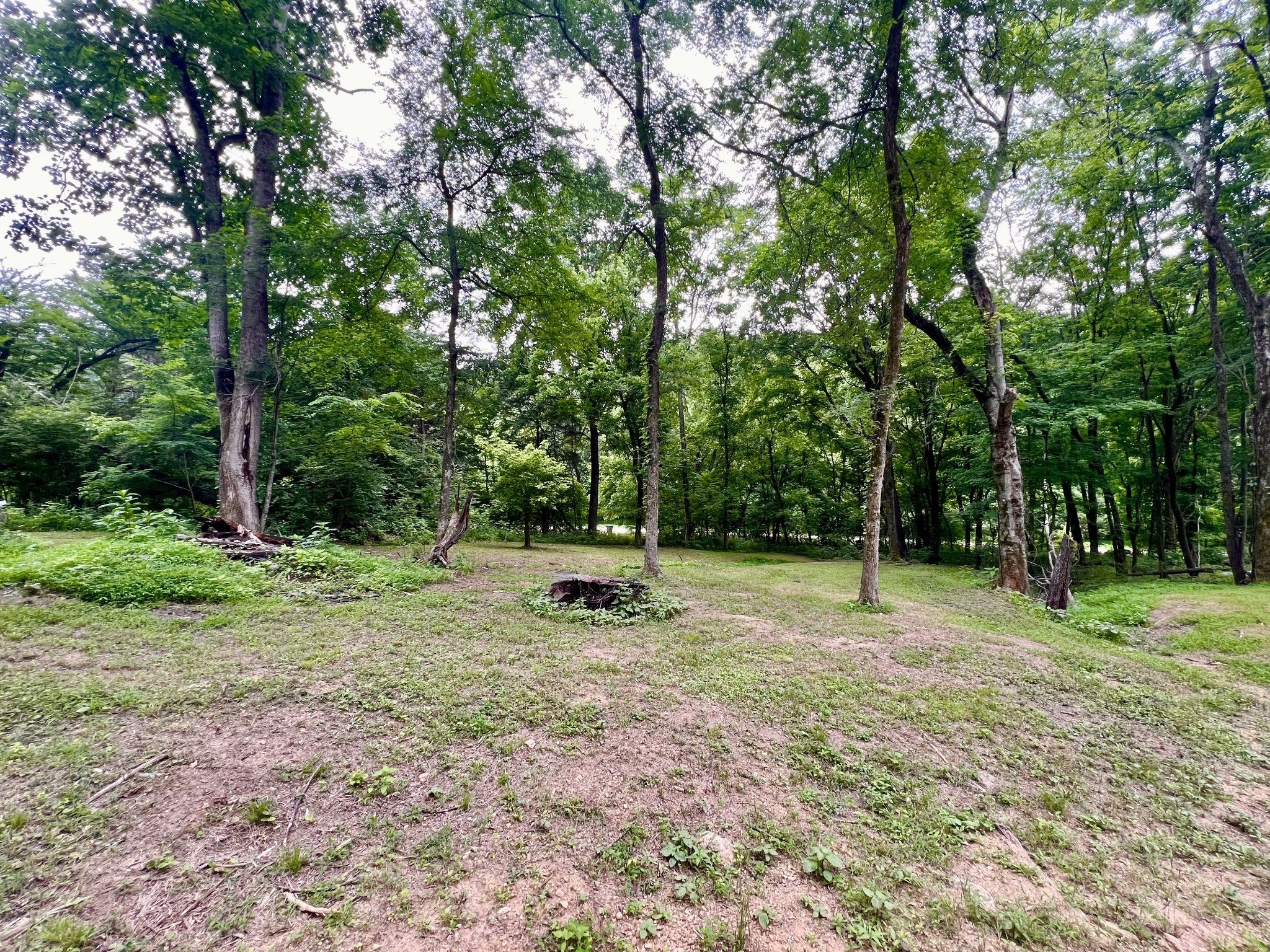 Photo of Listing #2906338