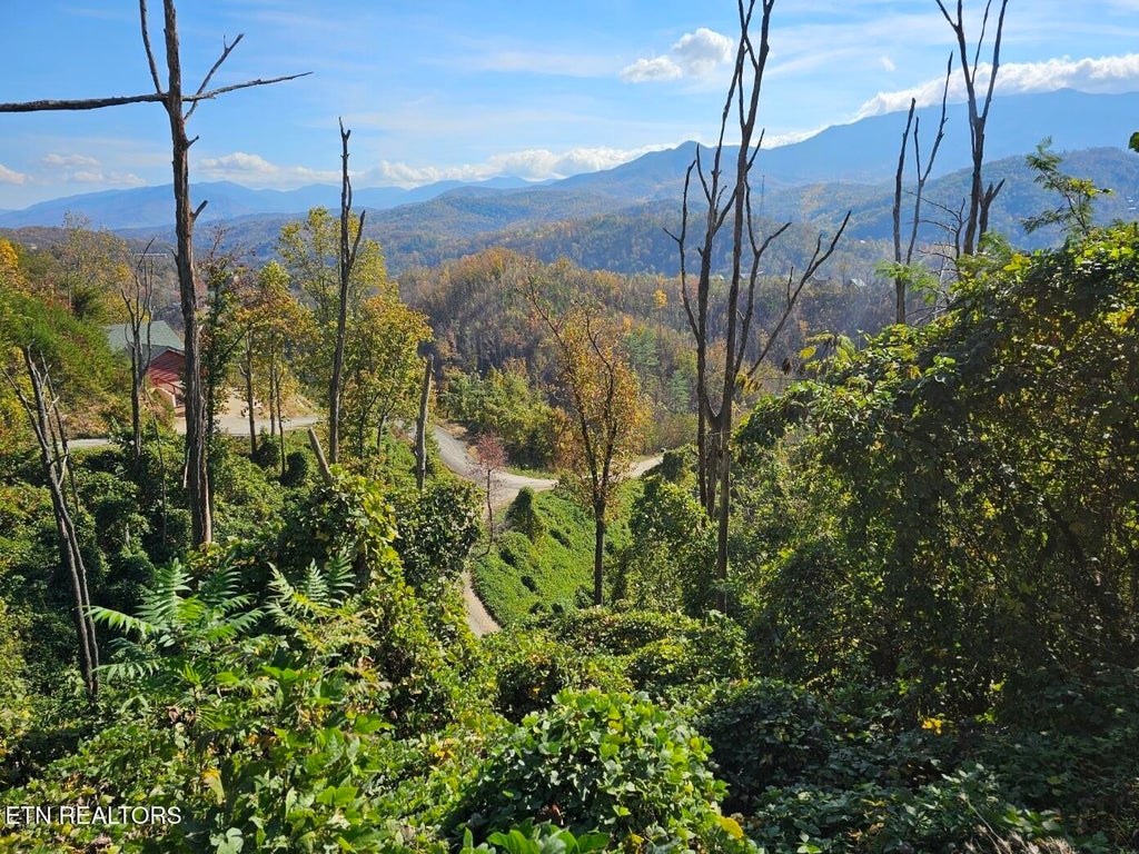 639 Kristis Place, Gatlinburg