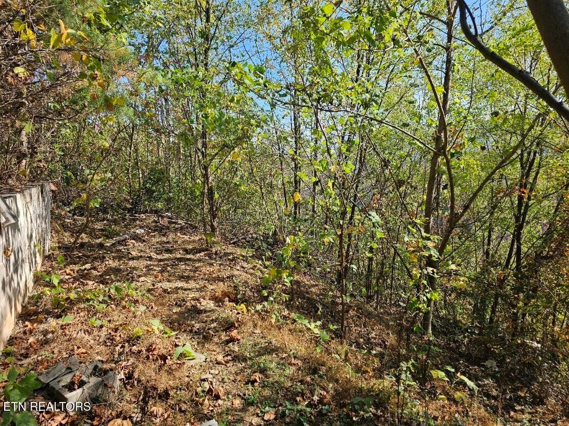 Photo of Listing #2906621