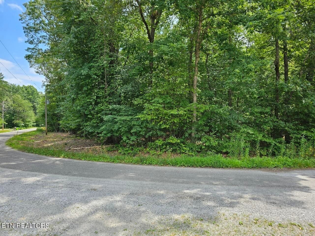 Photo of Listing #2906627