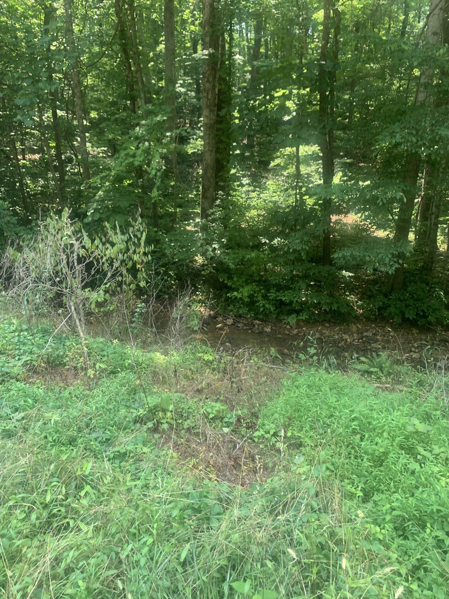 Photo of Listing #2906797