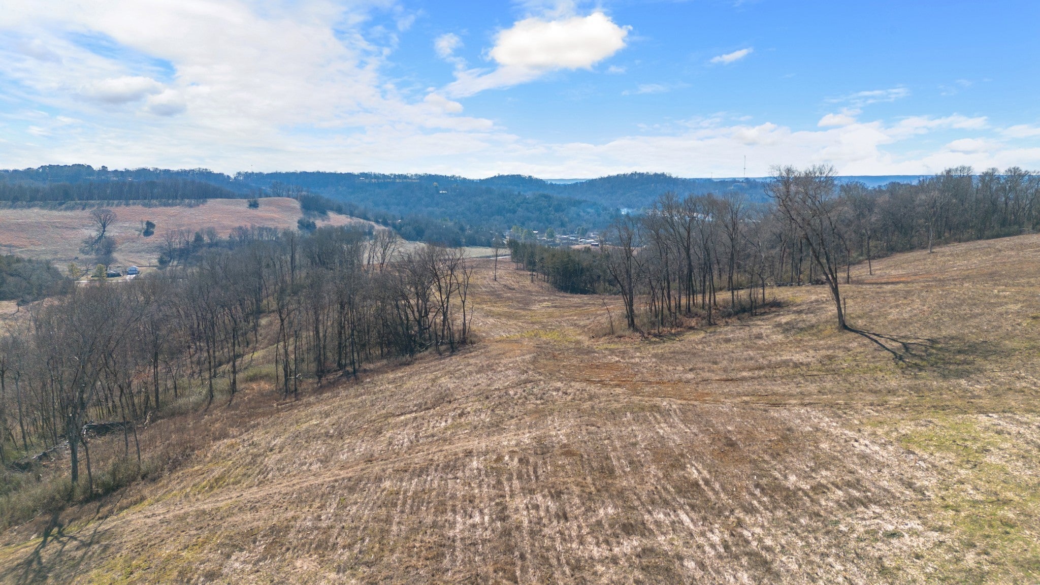 Photo of Listing #2906857