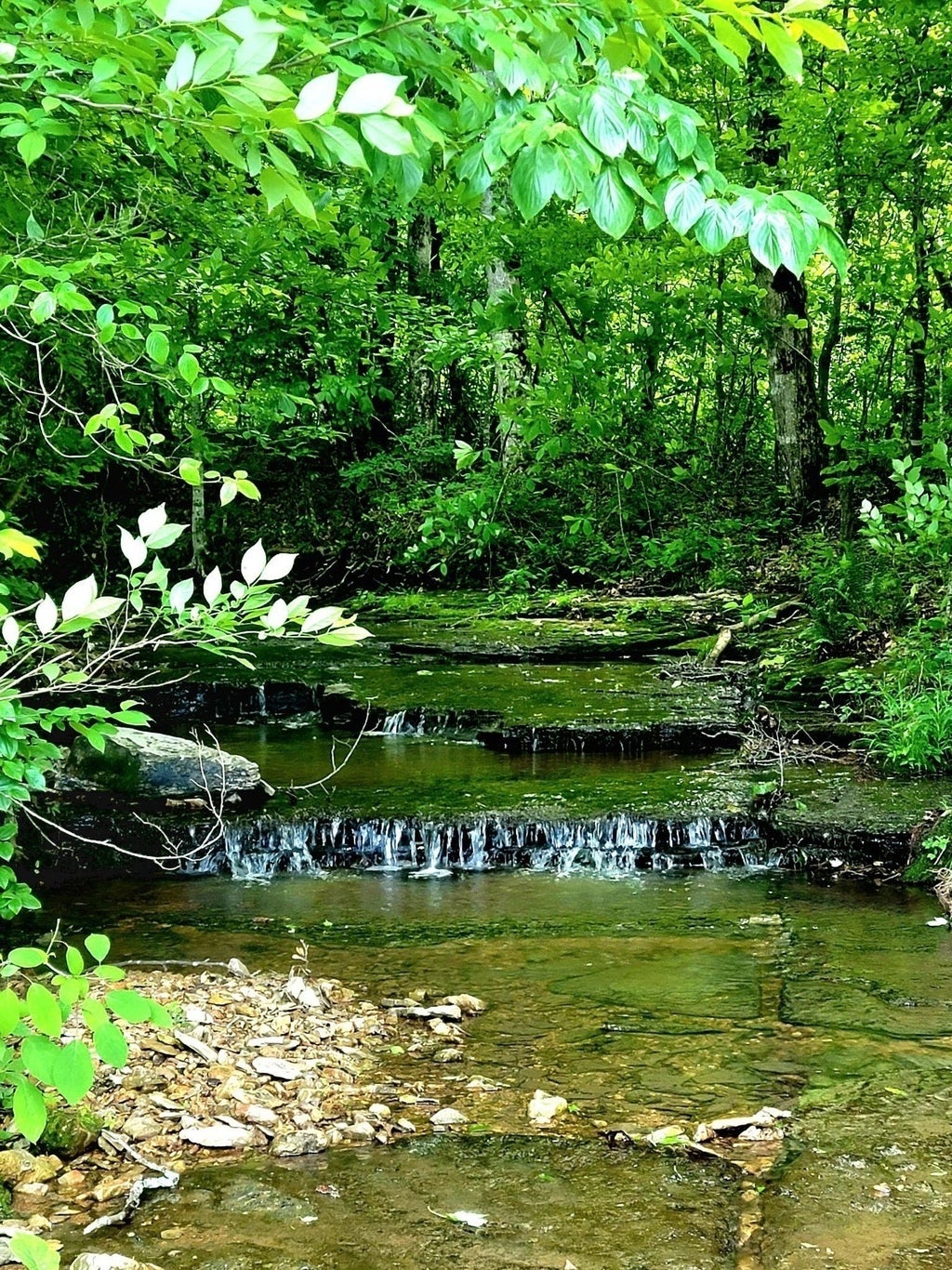 811 Borum Rd, Ashland City