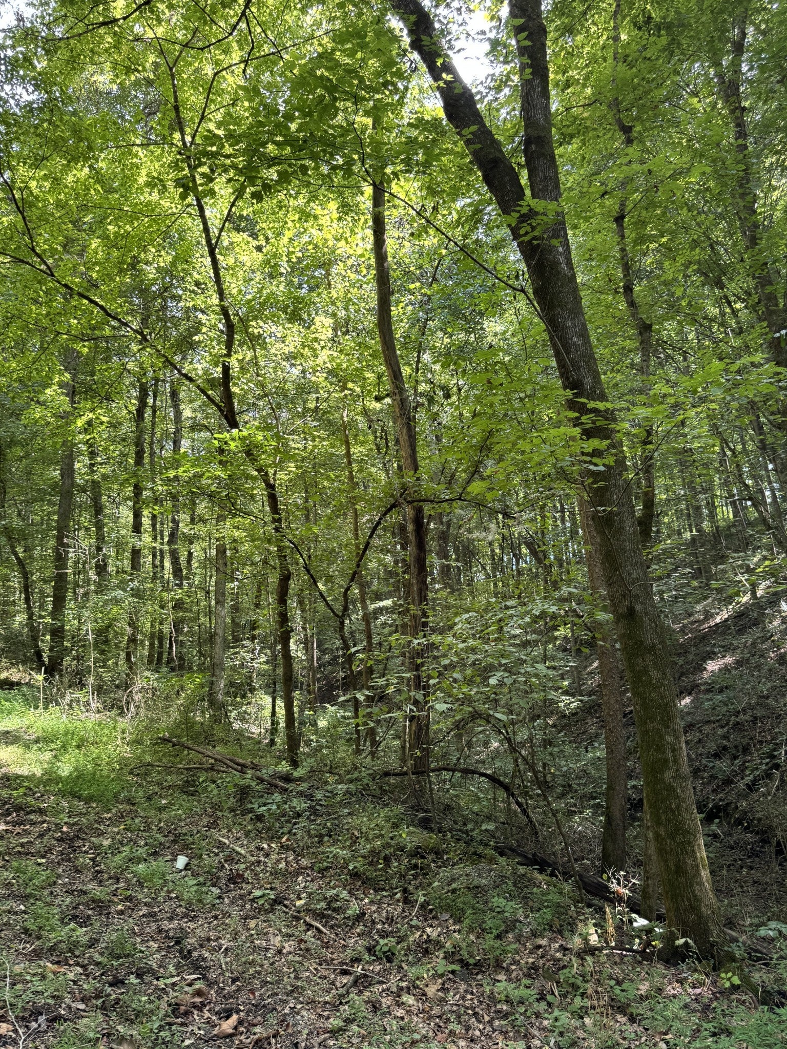 Photo of Listing #2906900