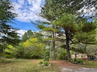 Photo of Listing #2907060