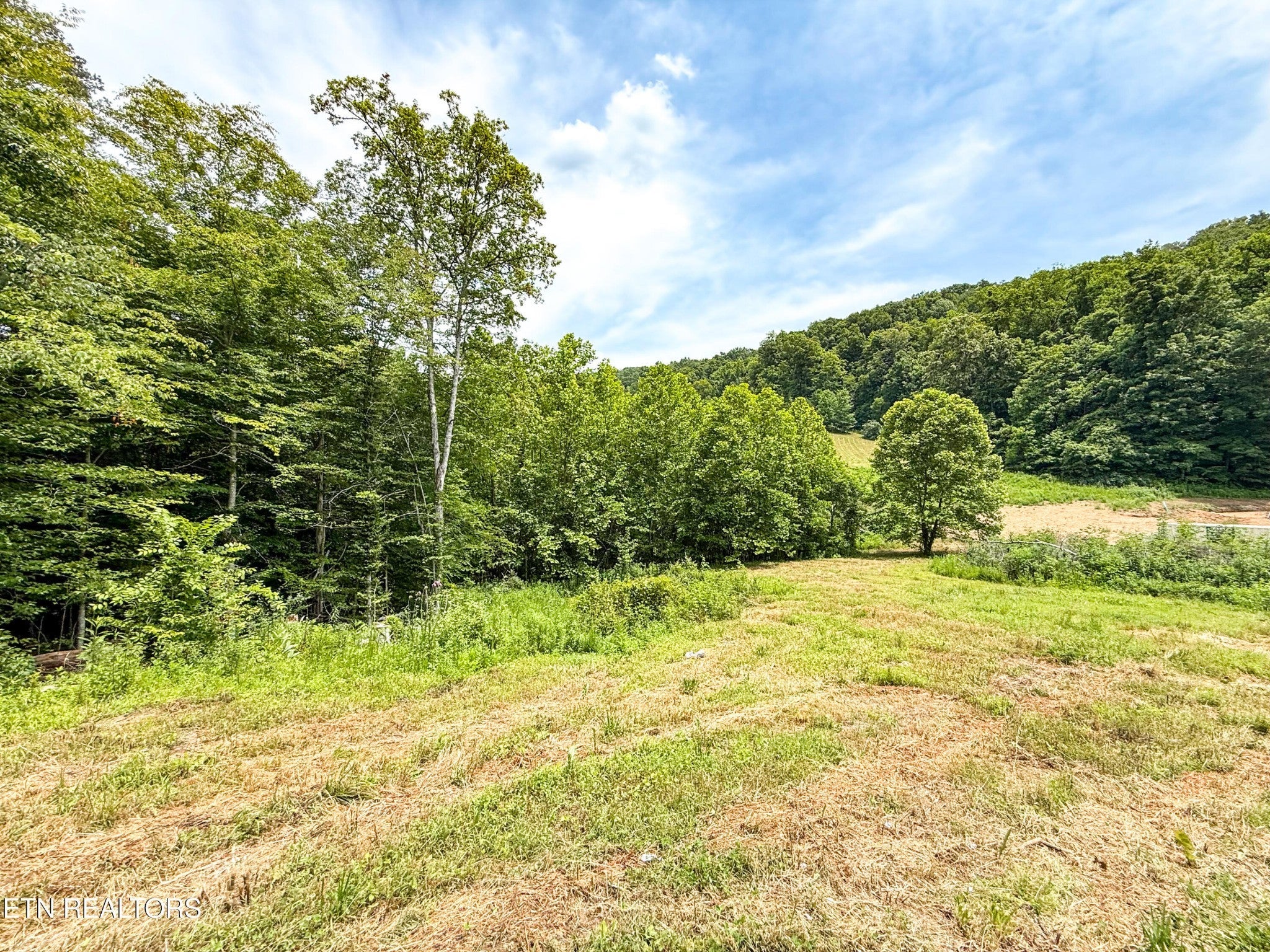 Photo of Listing #2908016