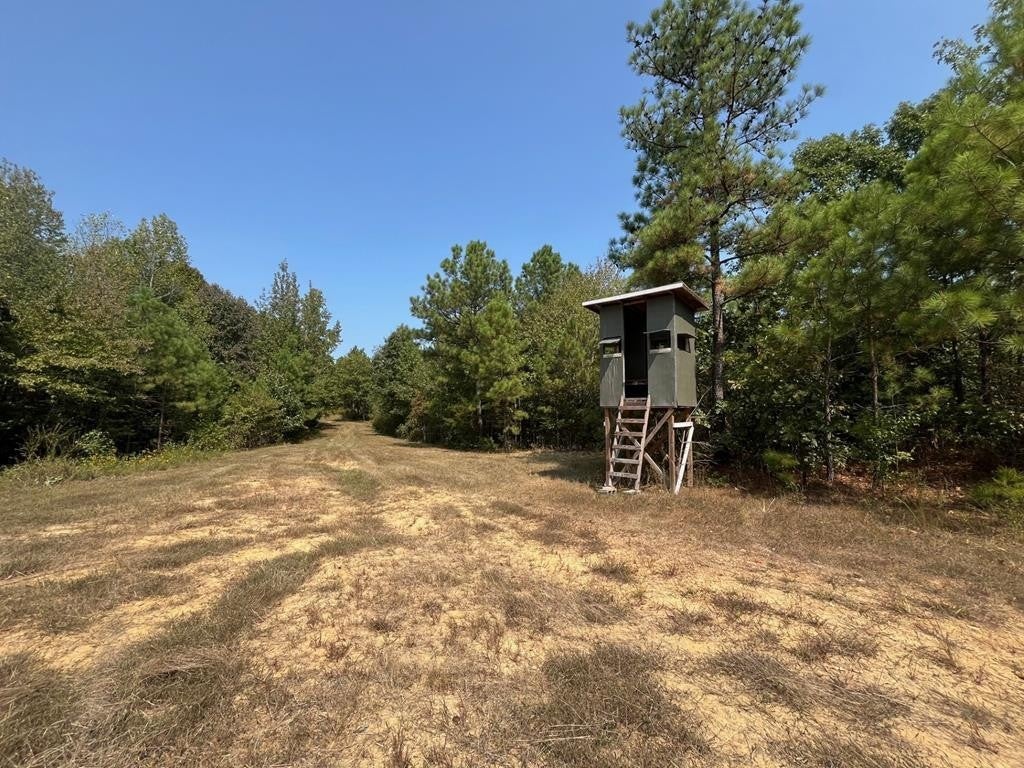 Photo of Listing #2908465