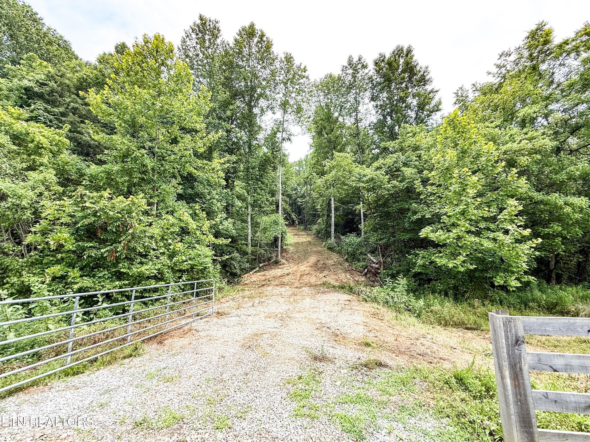 Photo of Listing #2908571