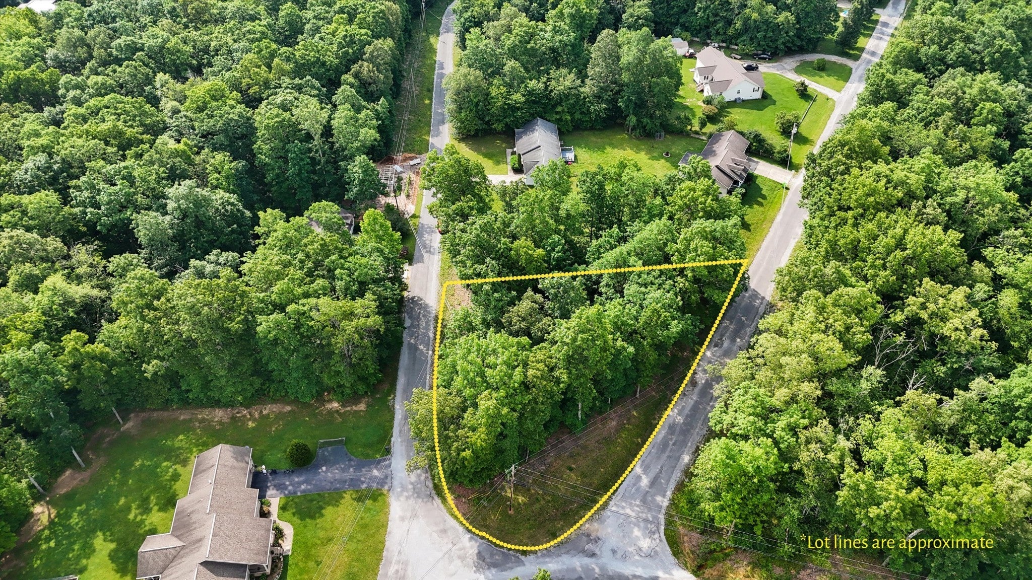 Photo of Listing #2908575