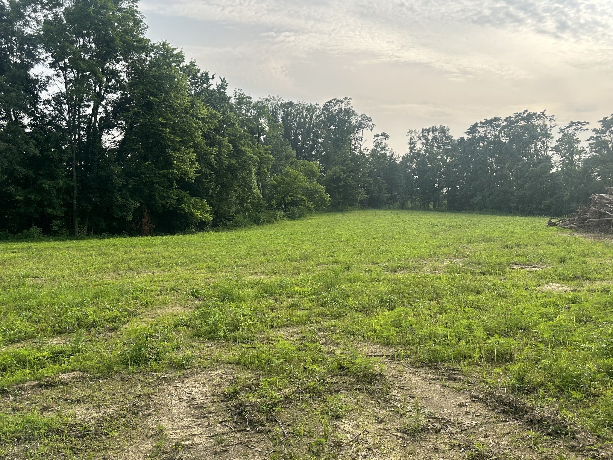 Photo of Listing #2914010