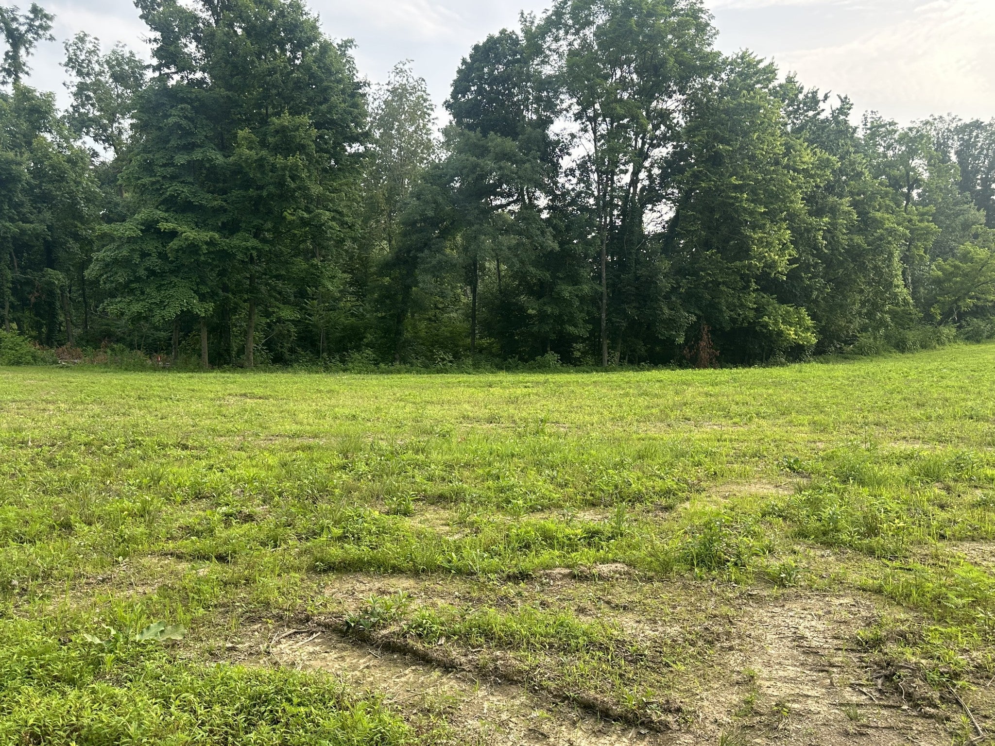 Photo of Listing #2914019